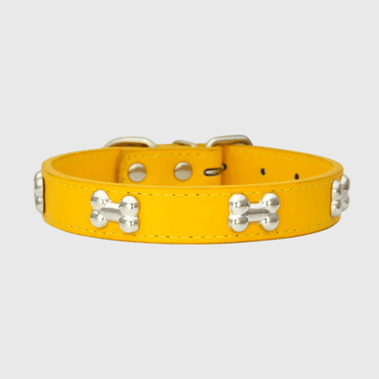 Collier en cuir pour chien motif os jaune