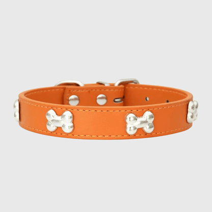 Collier en cuir pour chien motif os orange