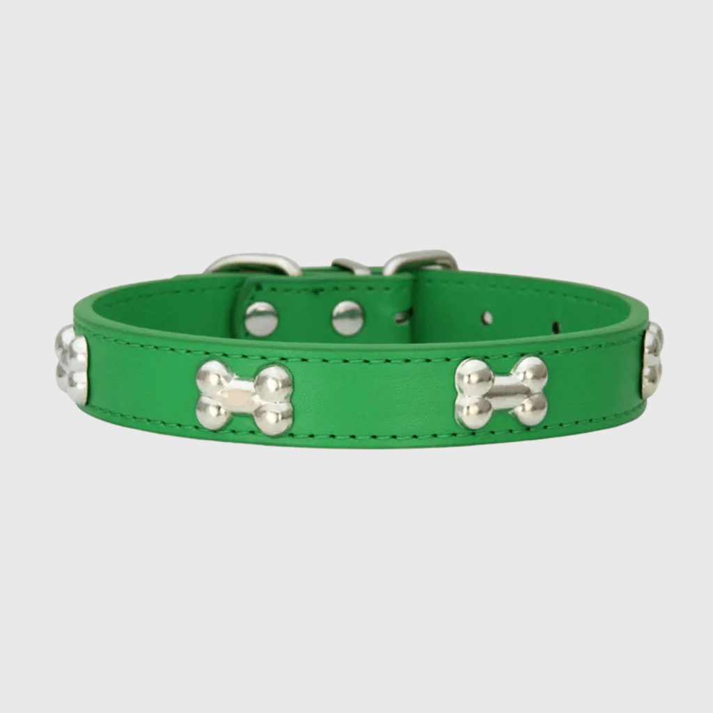 Collier en cuir pour chien motif os vert