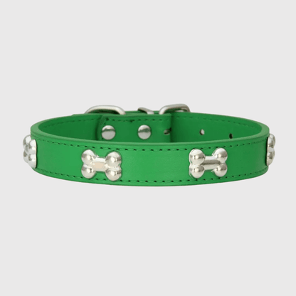 Collier en cuir pour chien motif os vert