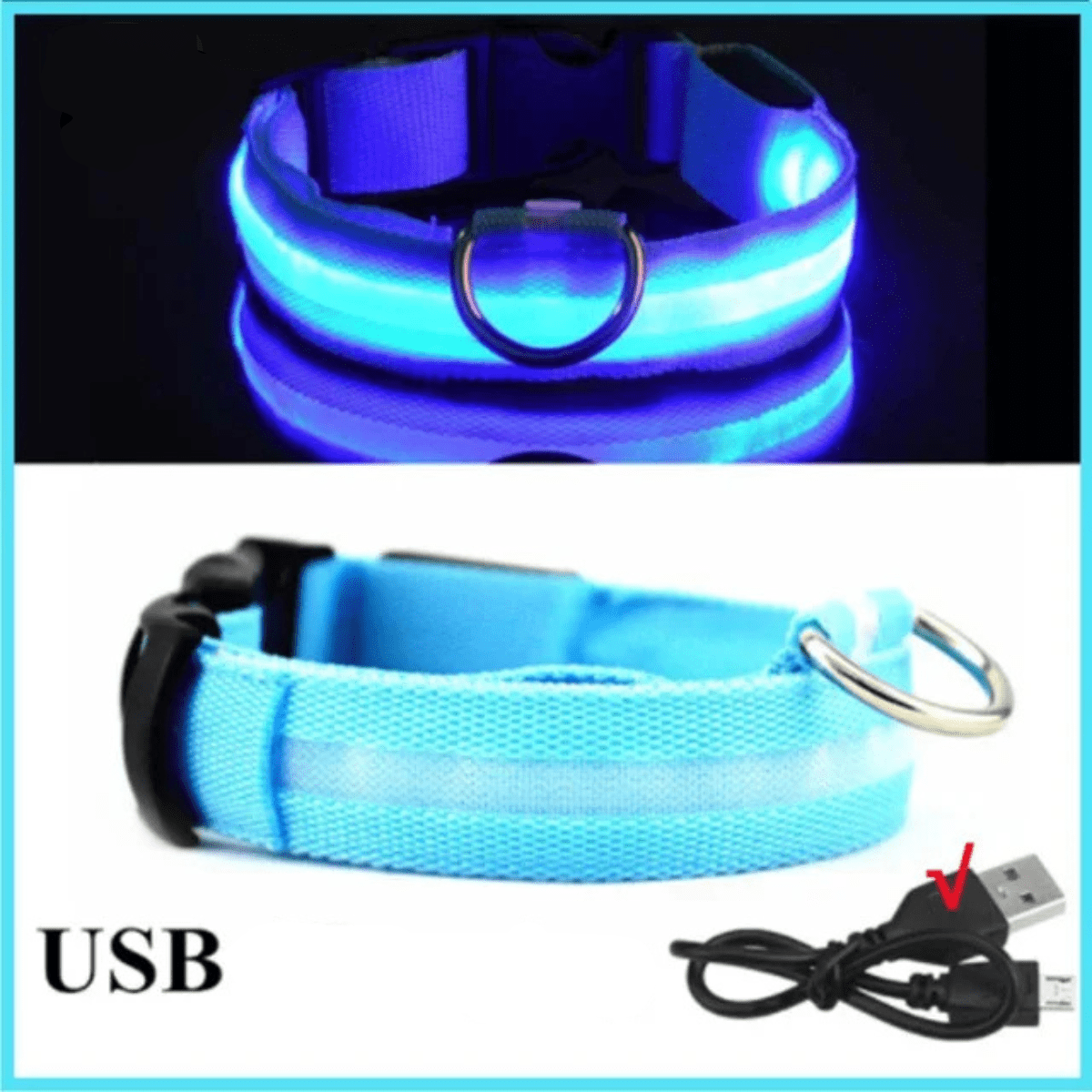 Collier fluo pour chien bleu
