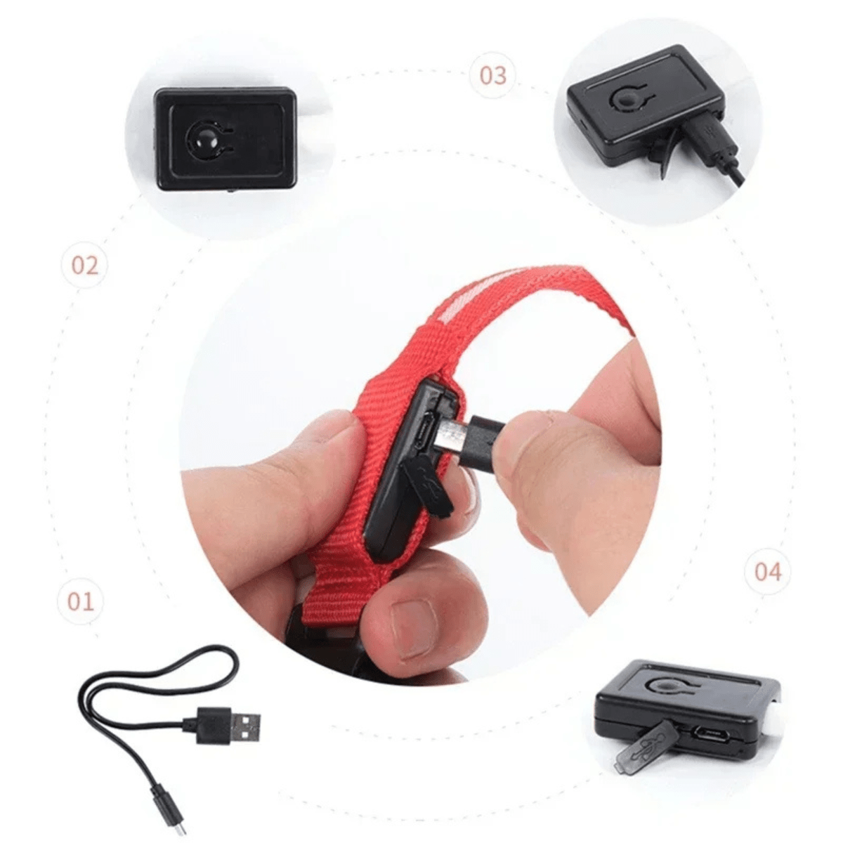 Collier fluo pour chien details