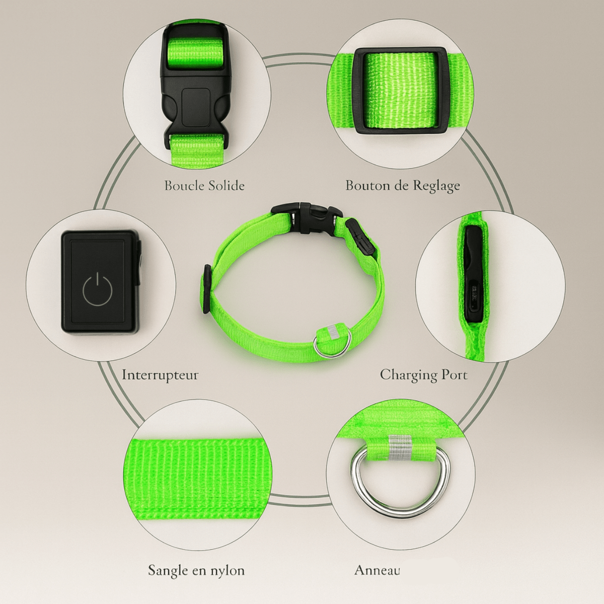Collier fluo pour chien guide d'utilisation