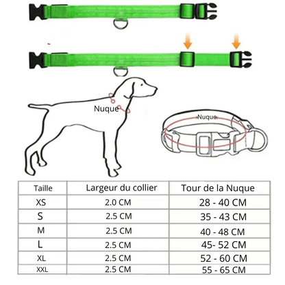 Collier fluo pour chien guide des tailles