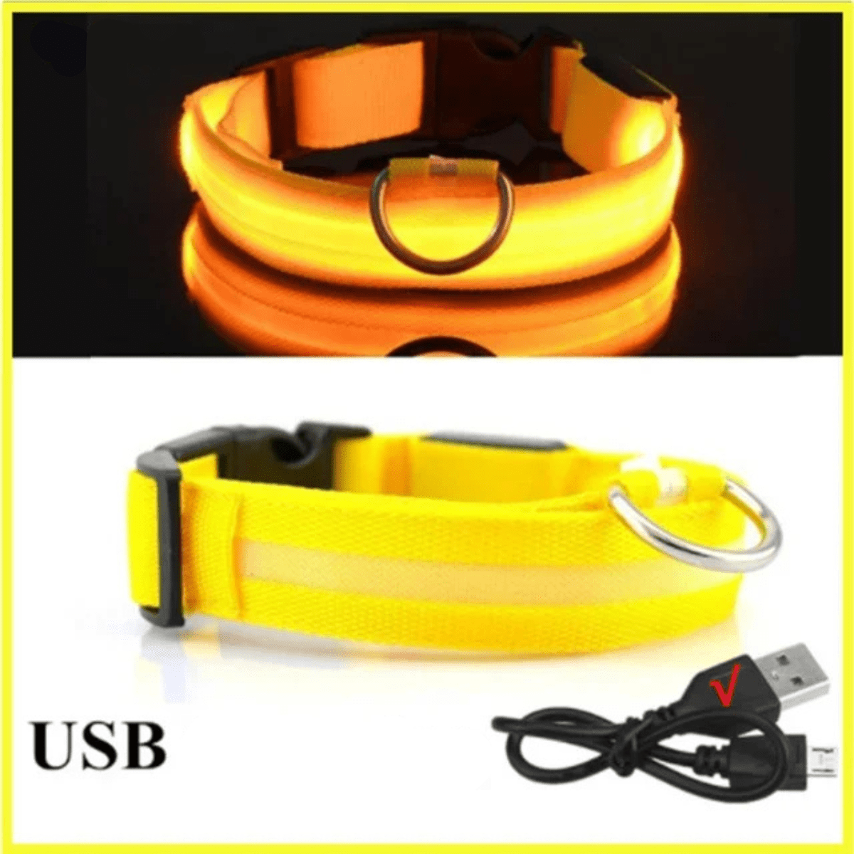 Collier fluo pour chien jaune