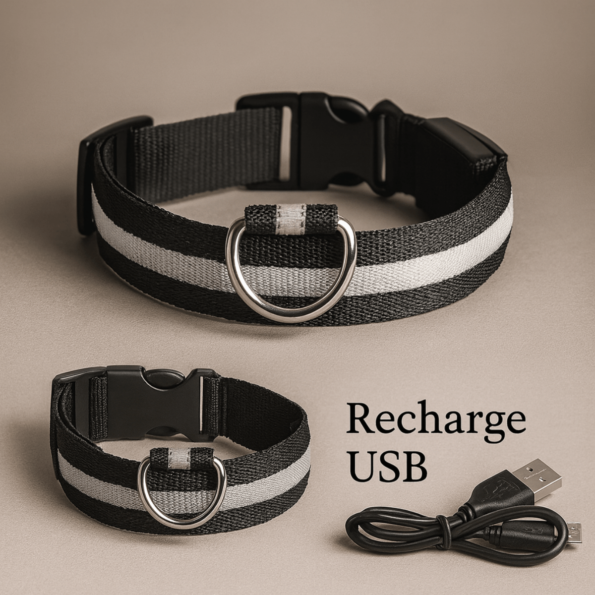 Collier fluo pour chien noir