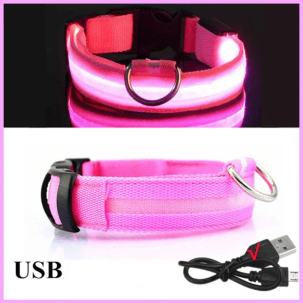 Collier fluo pour chien rose