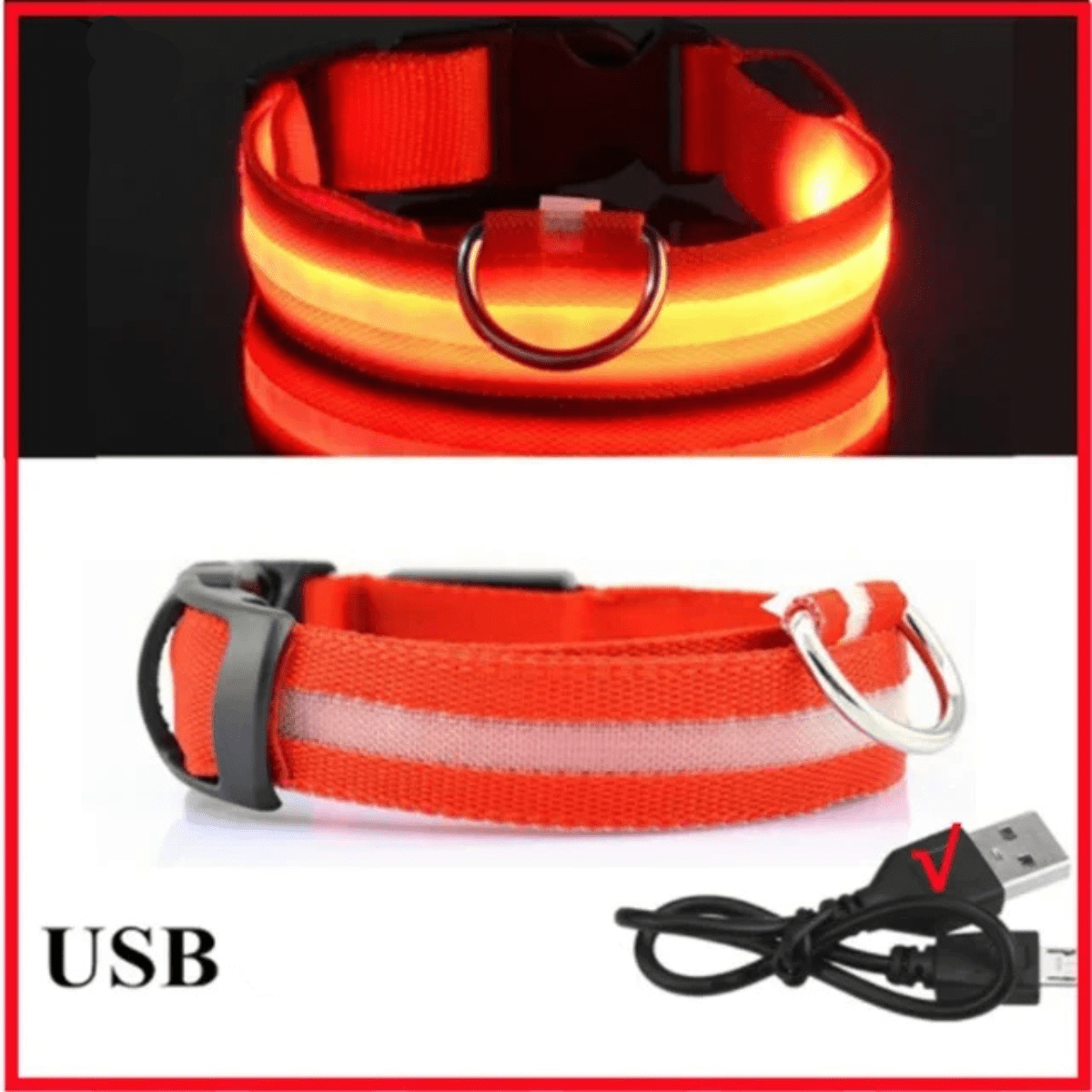 Collier fluo pour chien rouge