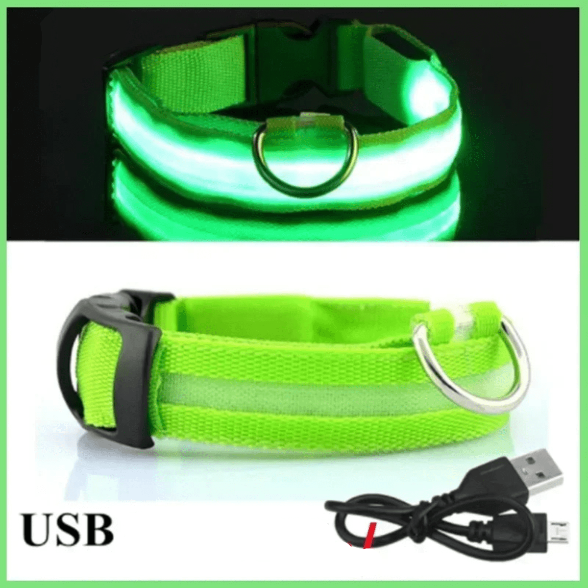 Collier fluo pour chien vert