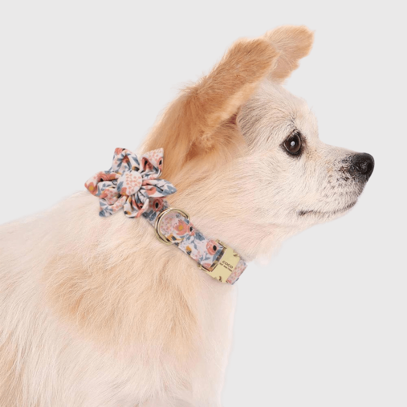 Collier personnalisé pour Chien avec Fleur chiot