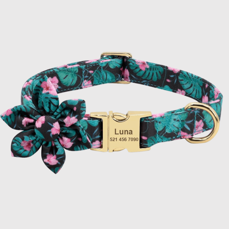 Collier personnalisé pour Chien avec Fleur vert