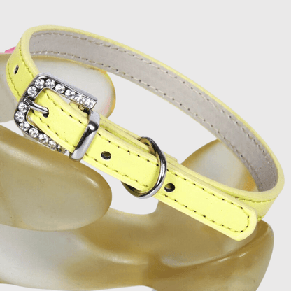 Collier petit chien​ jaune