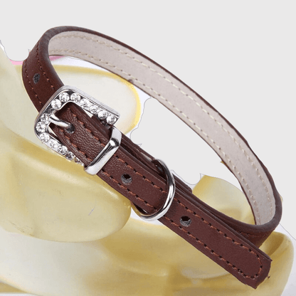 Collier petit chien​ marron fonce