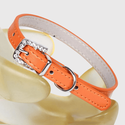 Collier petit chien​ orange