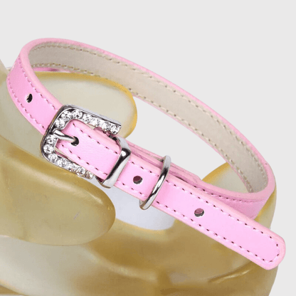 Collier petit chien​ rose