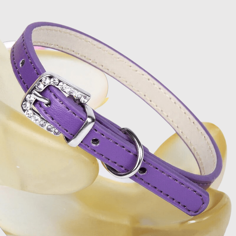 Collier petit chien​ violet