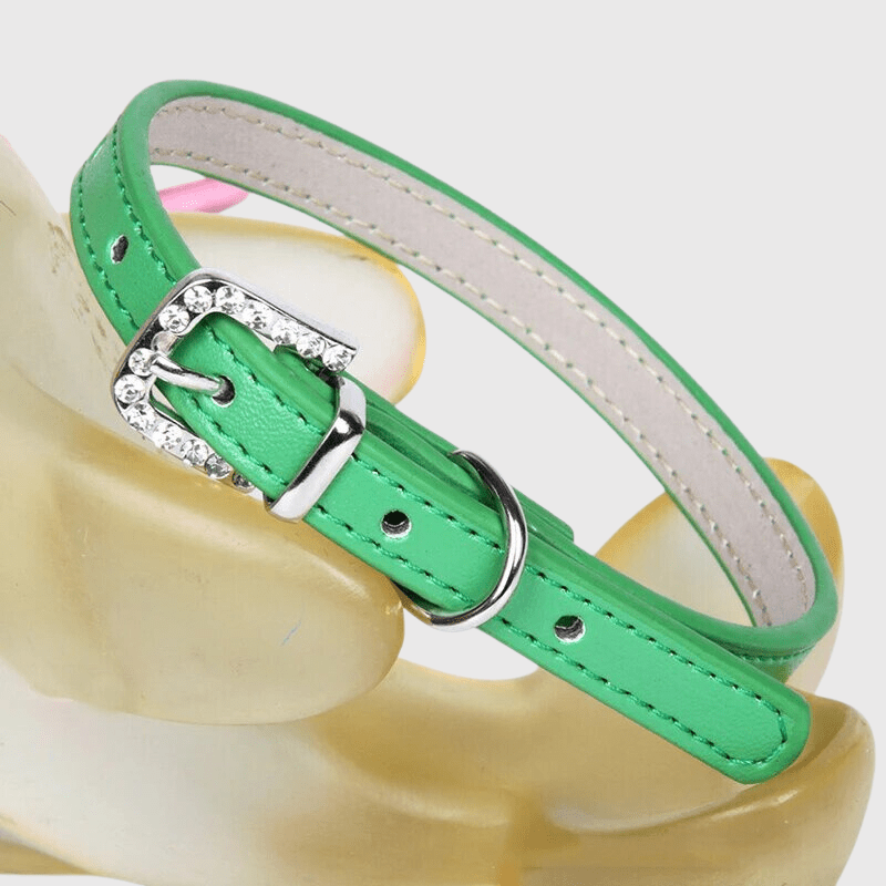 Collier petit chien​ vert