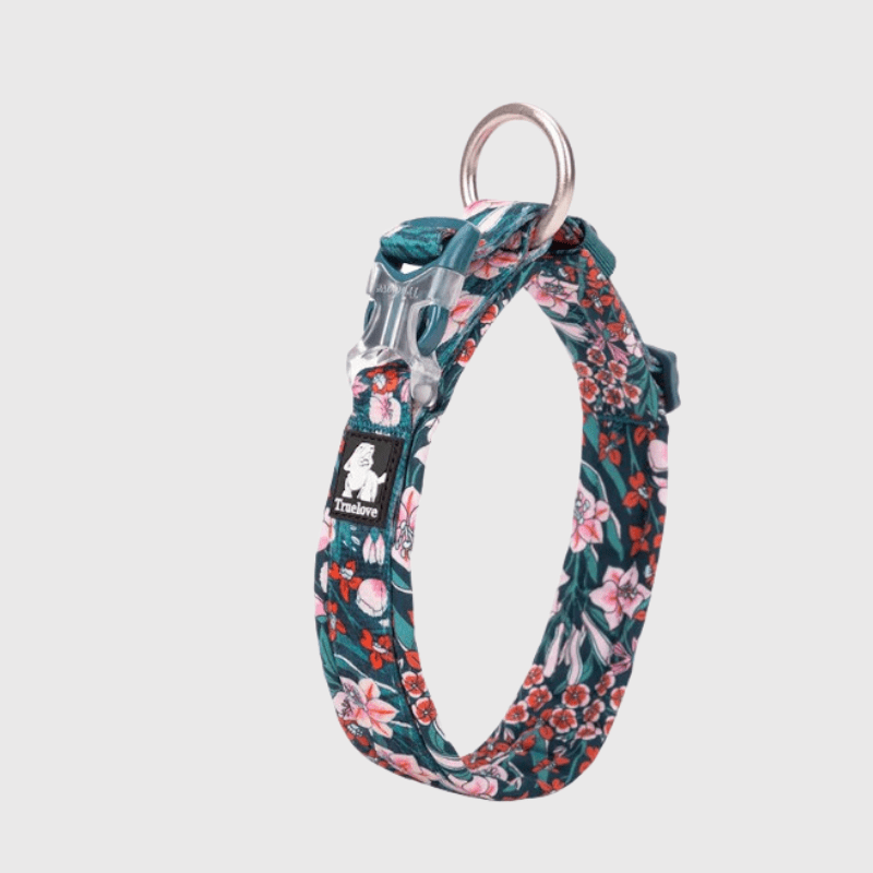 Collier pour chien True Love bleu ciel
