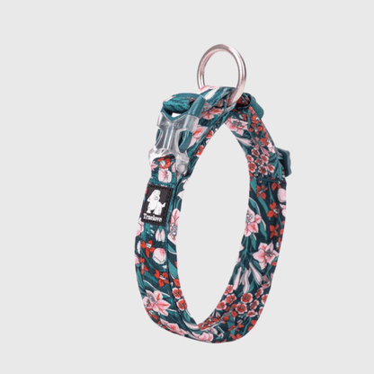 Collier pour chien True Love bleu ciel