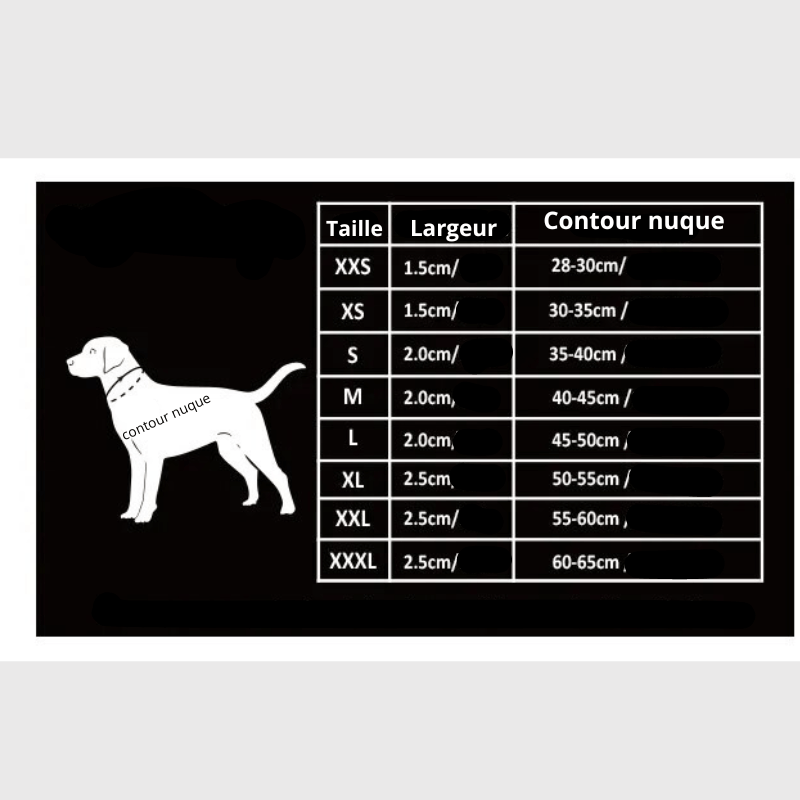 Collier pour chien True Love taille