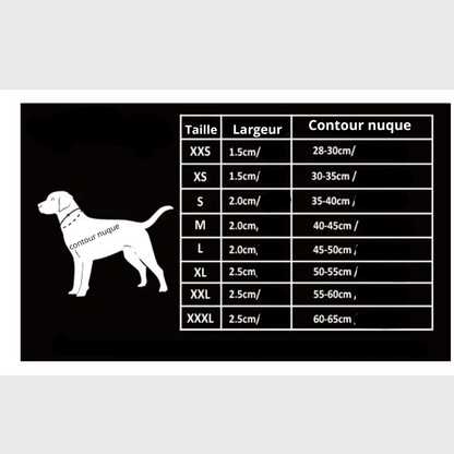 Collier pour chien True Love taille
