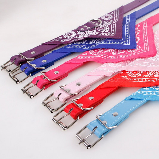 Collier pour chien bandana modele