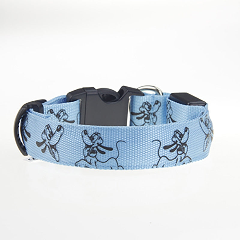 Collier pour chien de chasse fluo bleu sur fond blanc