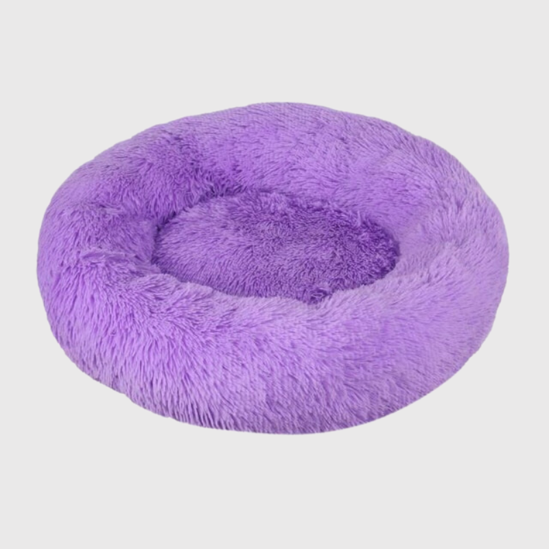 Coussin canape pour chien violet