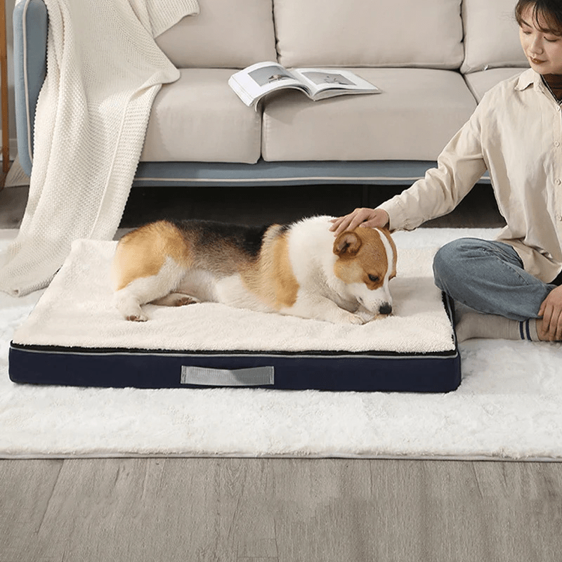 Le coussin déhoussable pour chien : confort et praticité au quotidien