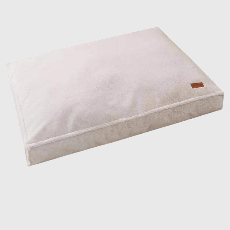 Coussin à mémoire de forme pour chien beige