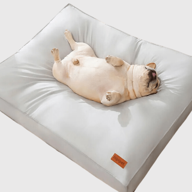 Coussin à mémoire de forme pour chien bouledogue