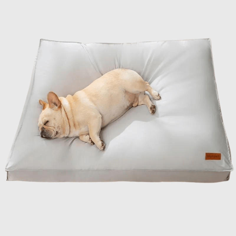 Coussin à mémoire de forme pour chien dodo