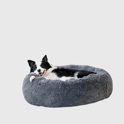 Coussin pour grand chien border collie