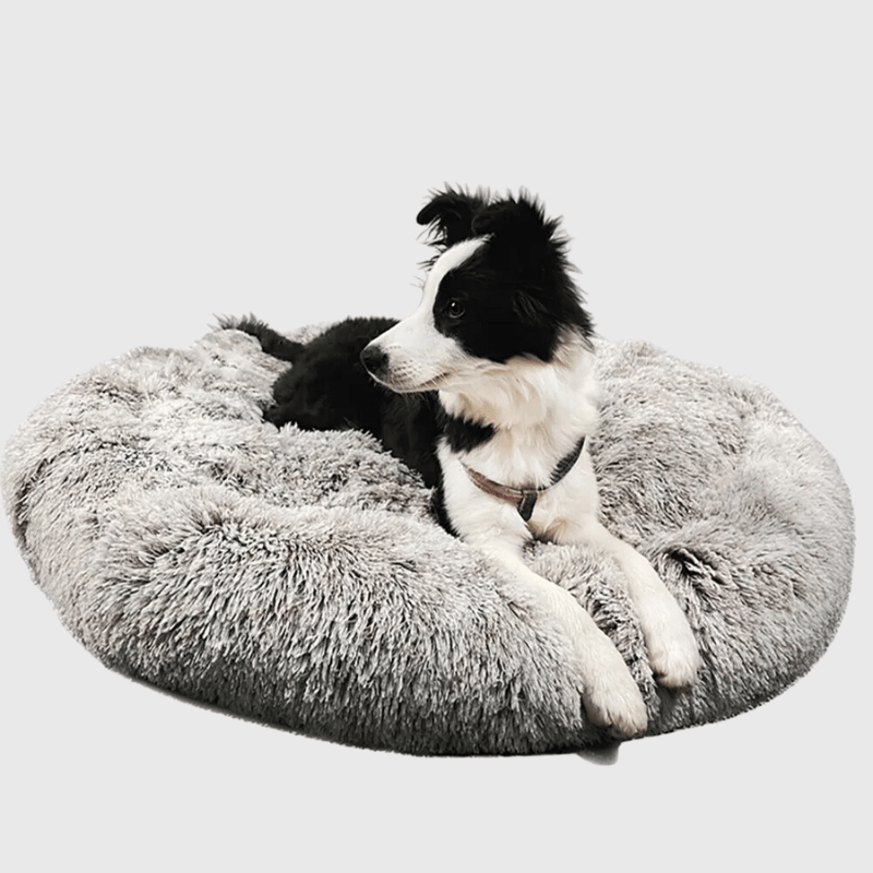 Coussin pour grand chien chiot