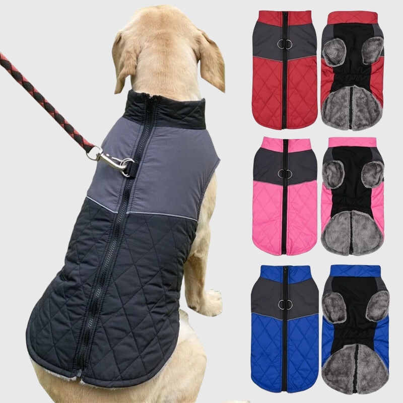 Couverture polaire manteau pour chien avec harnais modele chien