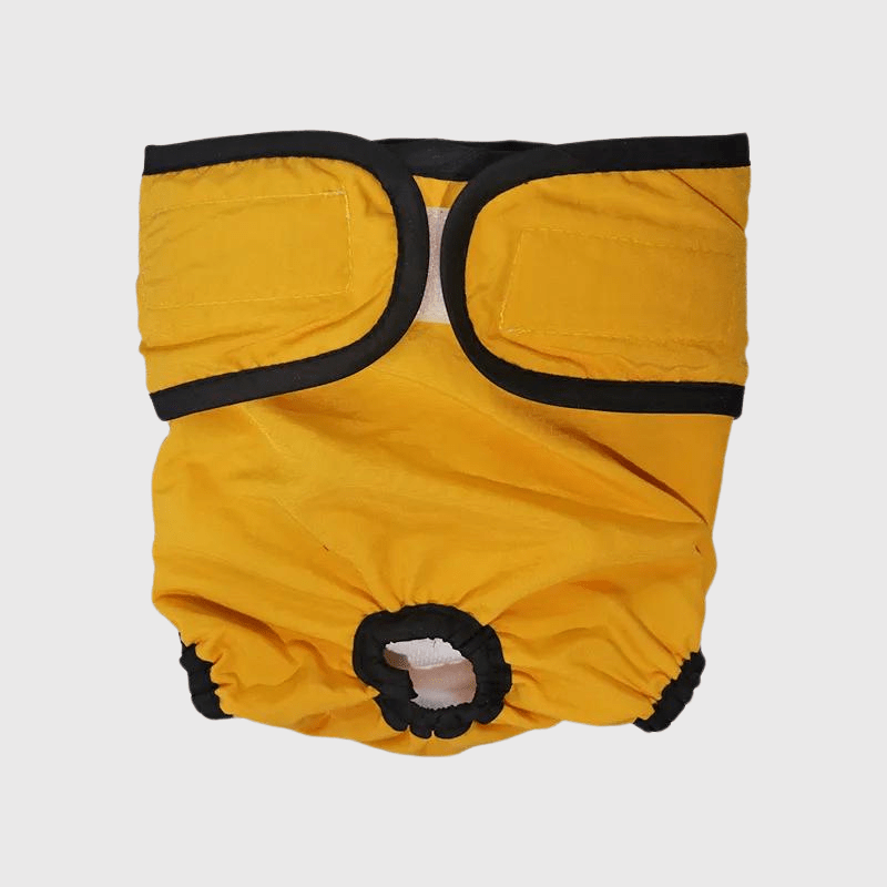 Culotte pour chien règle style 1 jaune