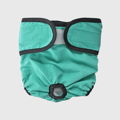 Culotte pour chien règle style 1 vert