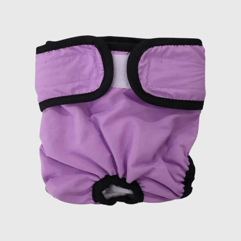 Culotte pour chien règle style 1 violet