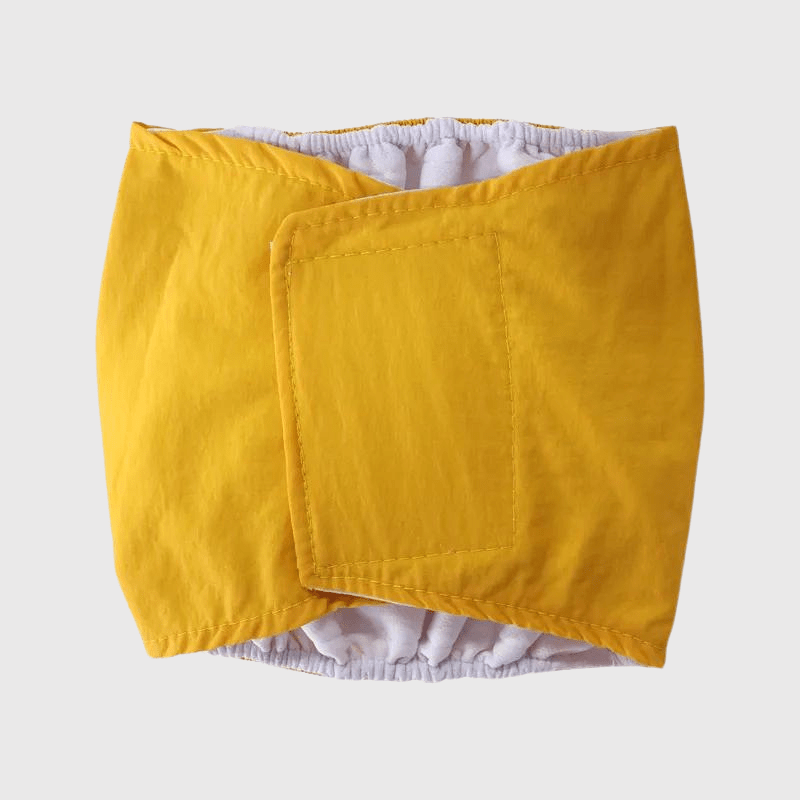 Culotte pour chien règle style 2 jaune