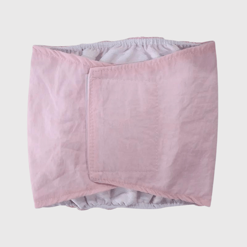 Culotte pour chien règle style 2 rose