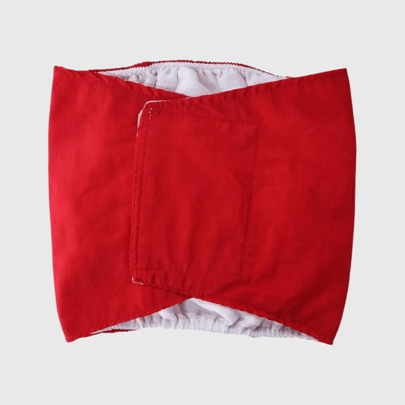 Culotte pour chien règle style 2 rouge