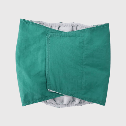 Culotte pour chien règle style 2 vert