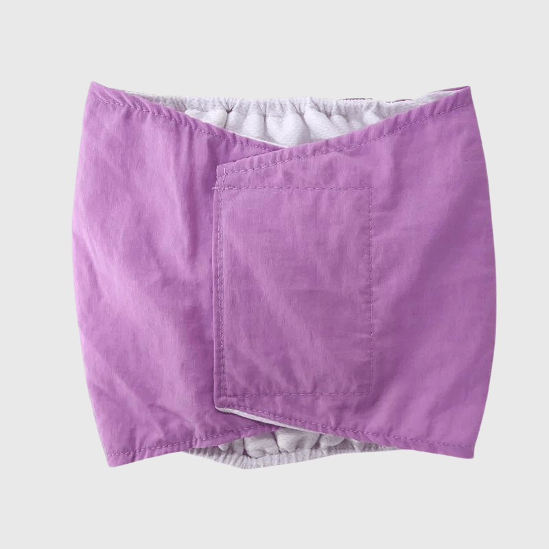 Culotte pour chien règle style 2 violet