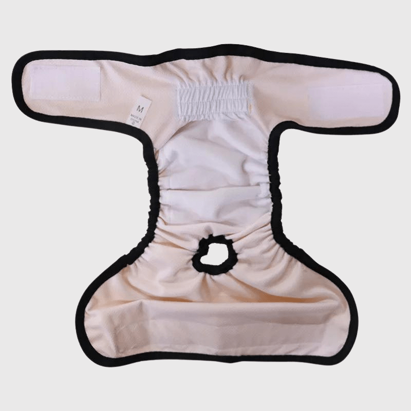 Culotte pour chien règle zoom