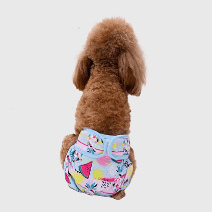 Culotte pour chienne chaleur​ de dos