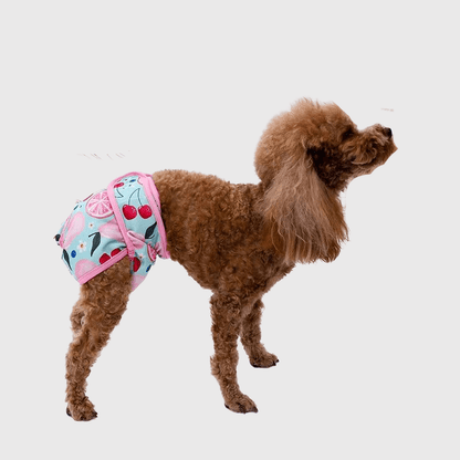 Culotte rose pour chienne en chaleur caniche