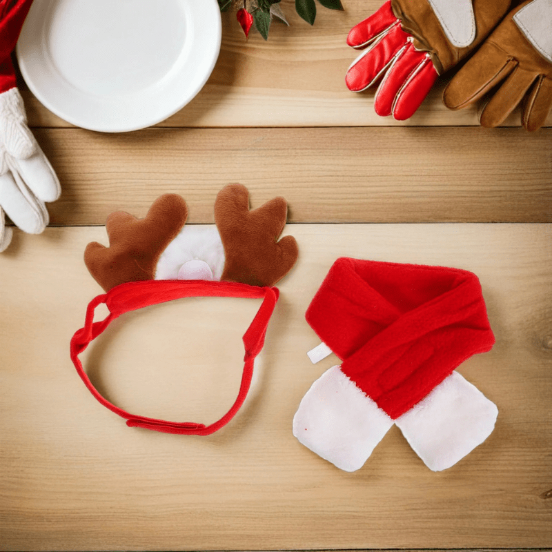 Deguisement chien renne decoration noel