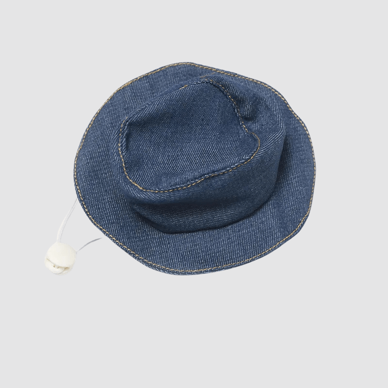 Deguisement chien toy story chapeau bleu