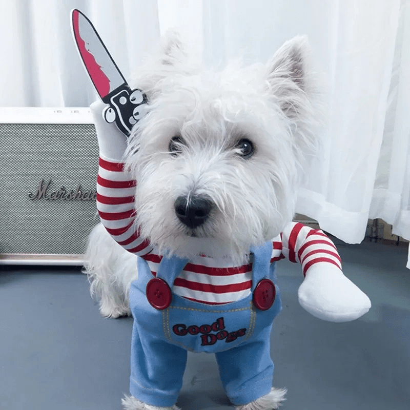 Deguisement chucky chien caniche