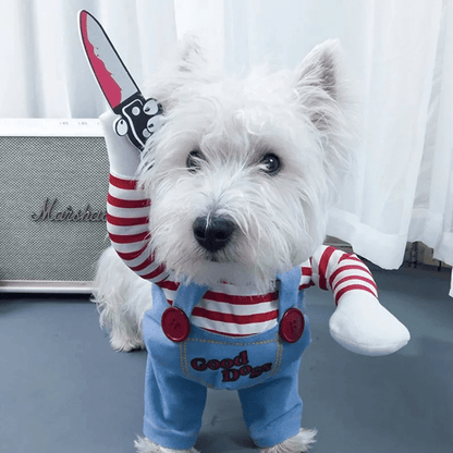 Deguisement chucky chien caniche